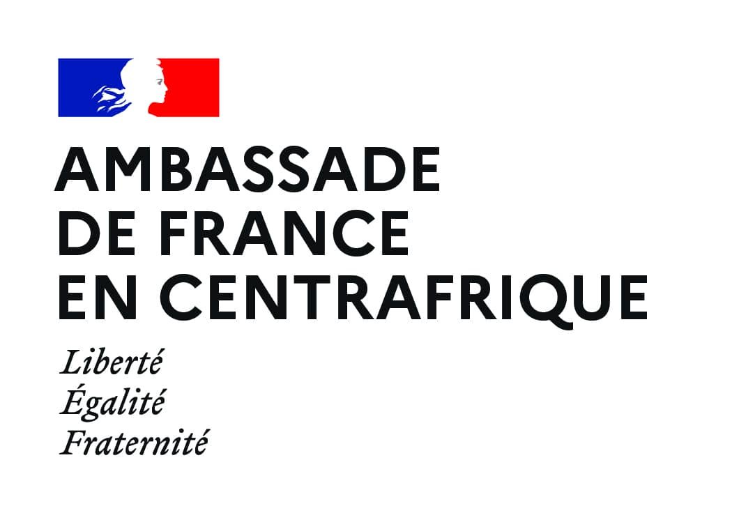 Logo Ambassade de France